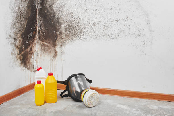 Midway, UT Mold Removal Company