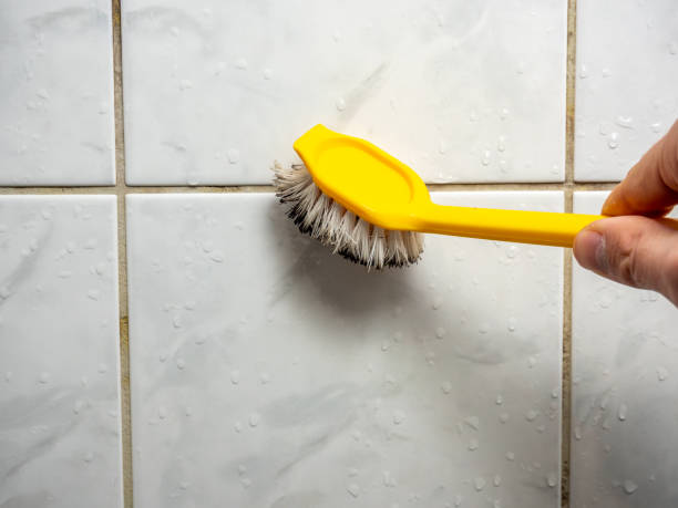 Best Fast Mold Removal  in Midway, UT
