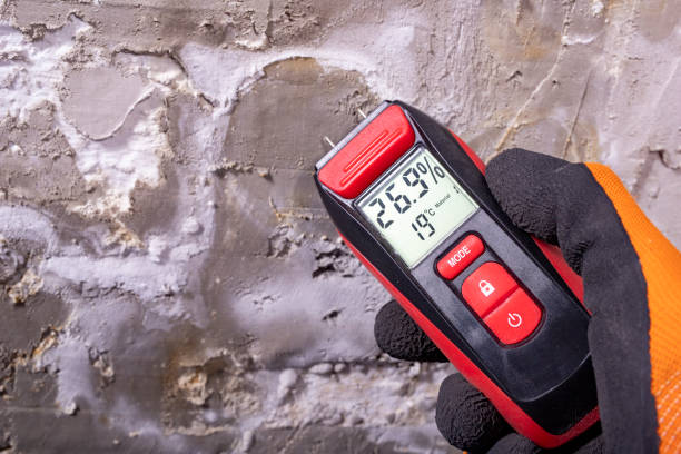 Best Mold Cleaning Services  in Midway, UT