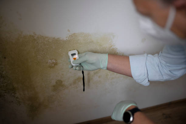 Best Mold Testing  in Midway, UT